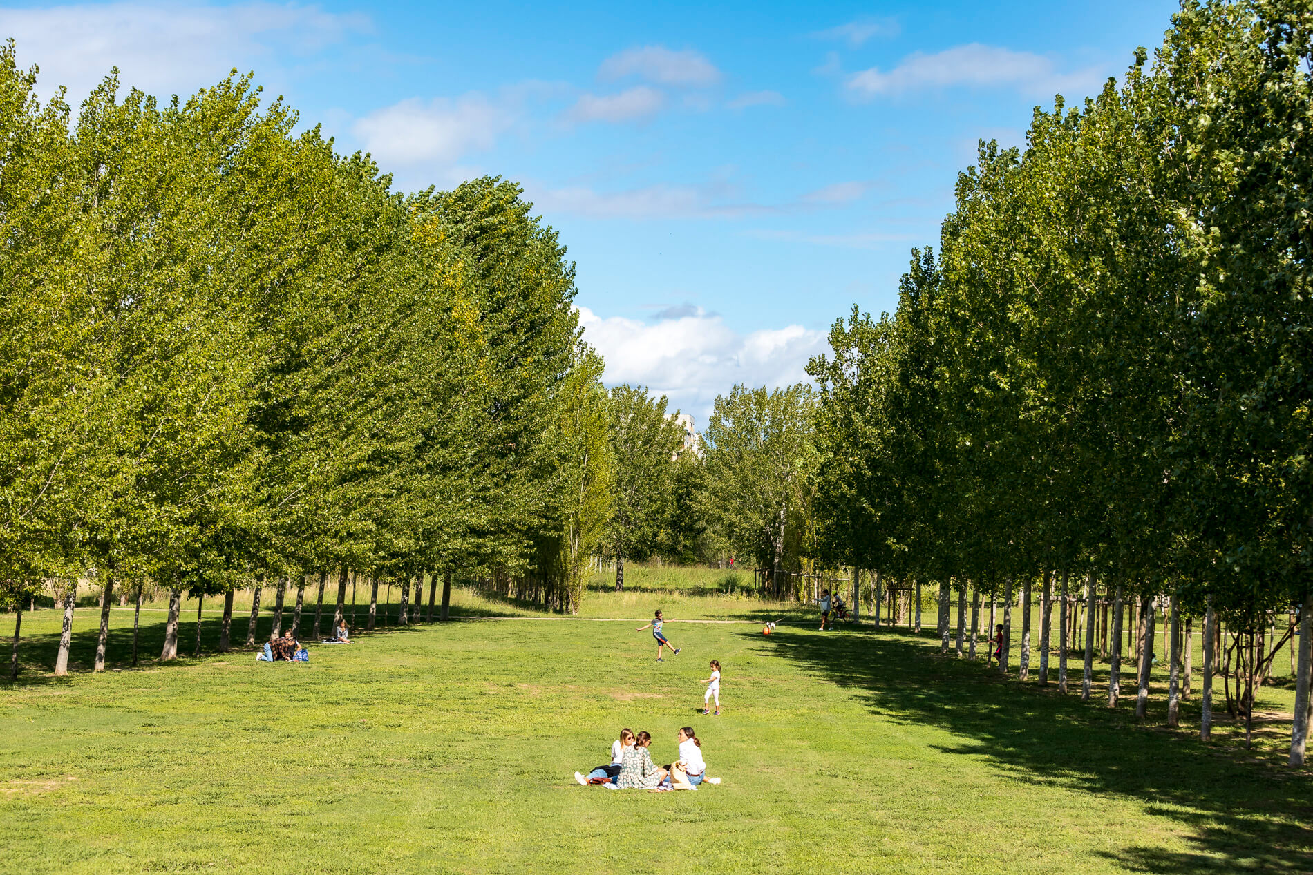 20210919_parc_marianne_glefrancq_9002BD